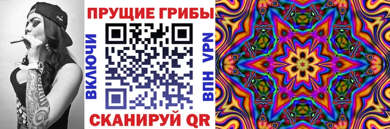 Купить  Нижнеудинск  Галлюциногенные грибы MAGIC MUSHROOMS 